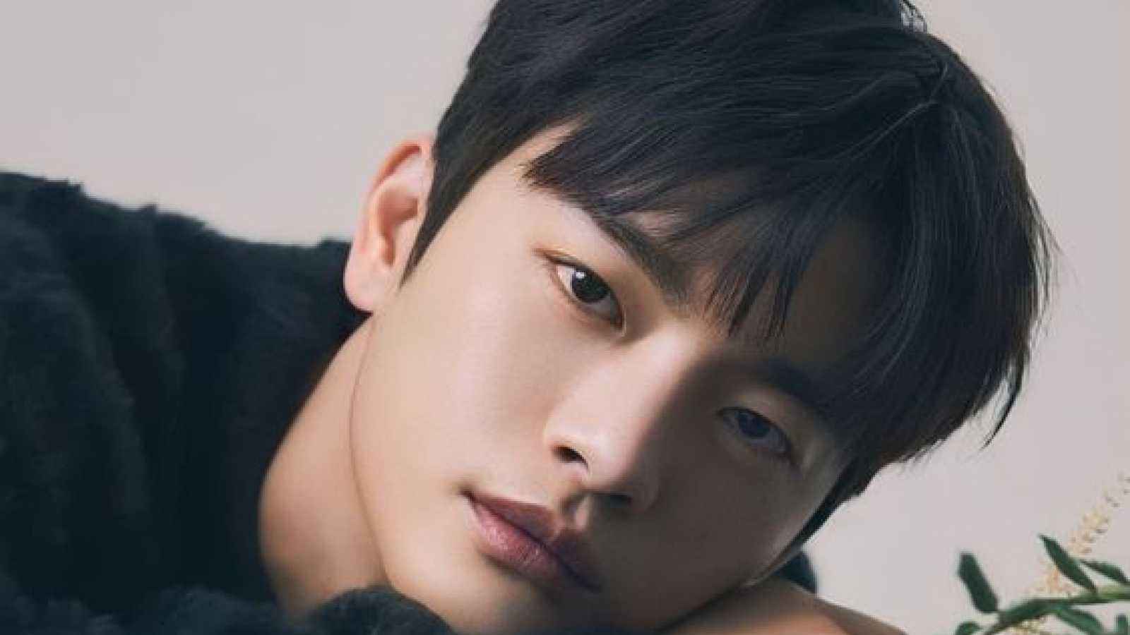 Seo In guk fará fanmeeting em São Paulo © Seo In Guk